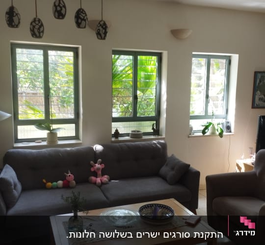 שלושה חלונות עם מסגרות ירוקות בסלון מואר